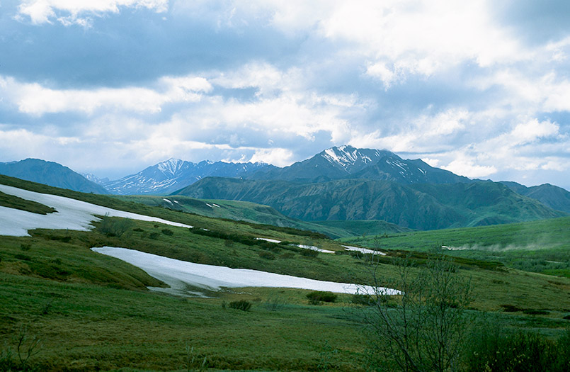 Wildes Alaska: der Denali-Nationalpark
