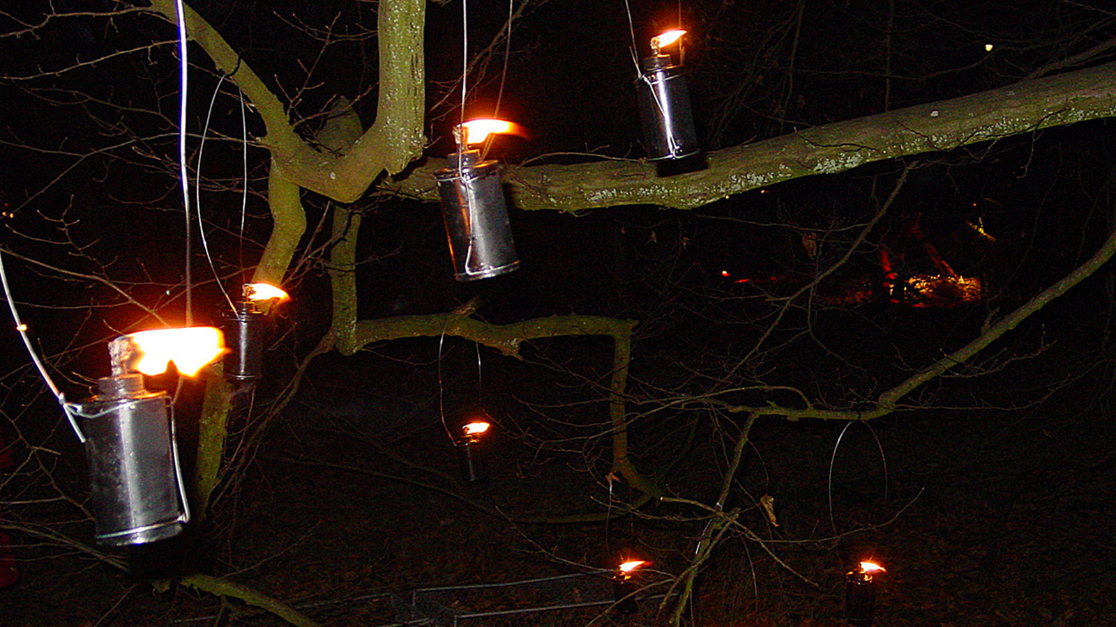 Weihnachten bringt Licht ins Dunkel - auch in der Natur, wie hier bei Frederiksdal. Foto: Hilke Maunder
