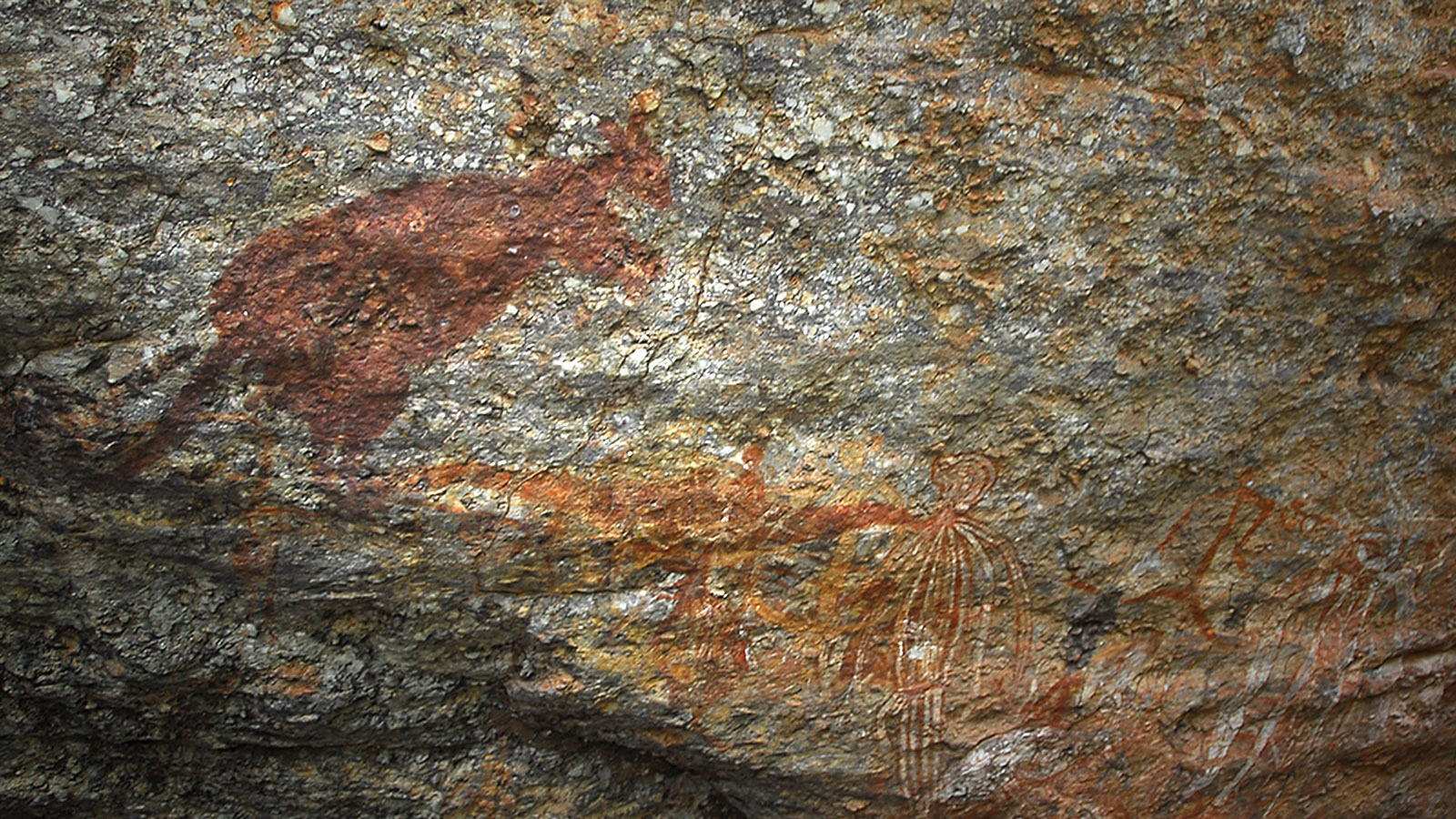 Kakadu: Deutlich auf den Felszeichnungen am Nourlangie Rock zu erkennen: das Känguru. Foto: Hilke Maunder