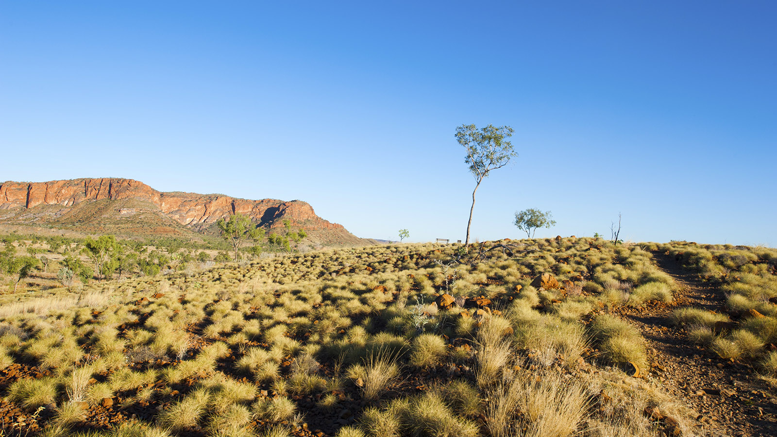 Kimberley. Rote Felsen, weiter Busch: das Outback. Foto: Hilke Maunder