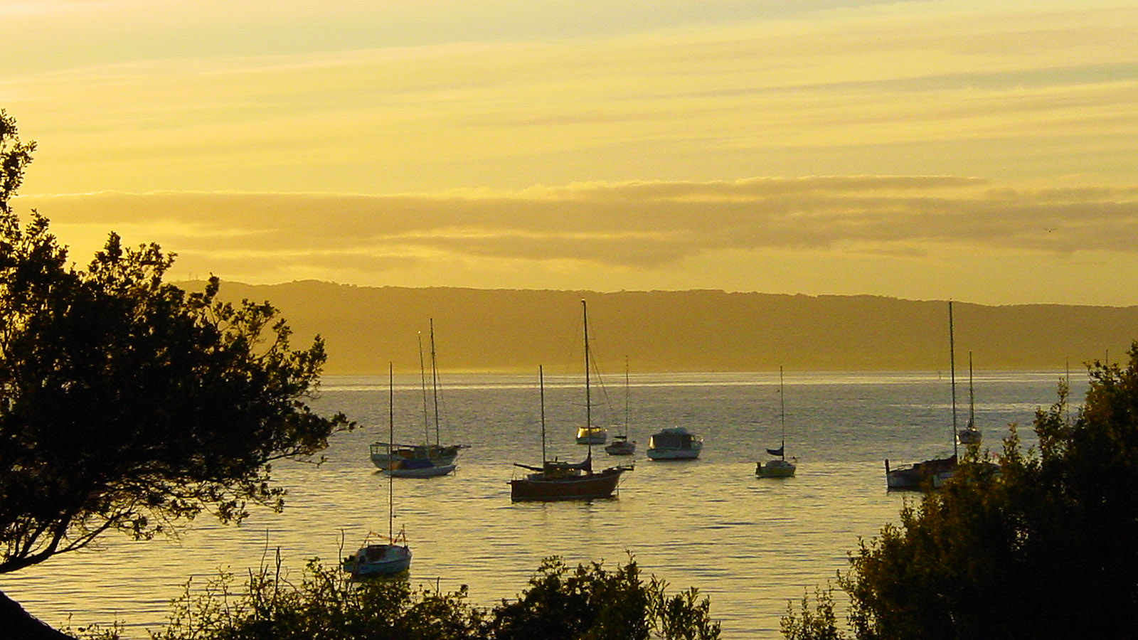 Mornington Peninsula: Morgens zwischen Portsea und Sorrento. Foto: Hilke Maunder
