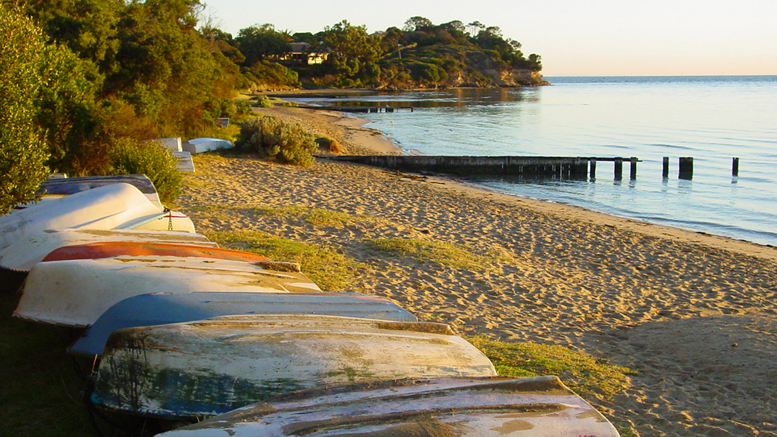 Mornington Peninsula: Morgenstimmung an der Port Phillip Bay. Foto: Hilke Maunder