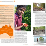 Mudcrabbing mit Brian - Hilke Maunder stellt in 360° Australien Erlebnisse mit den Aborigines vor.