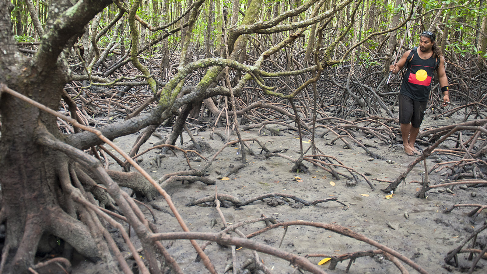 Brandon Walker verrät, wo mud crabs, delikate Schlammkrabben, sich verstecken. Foto: Hilke Maunder