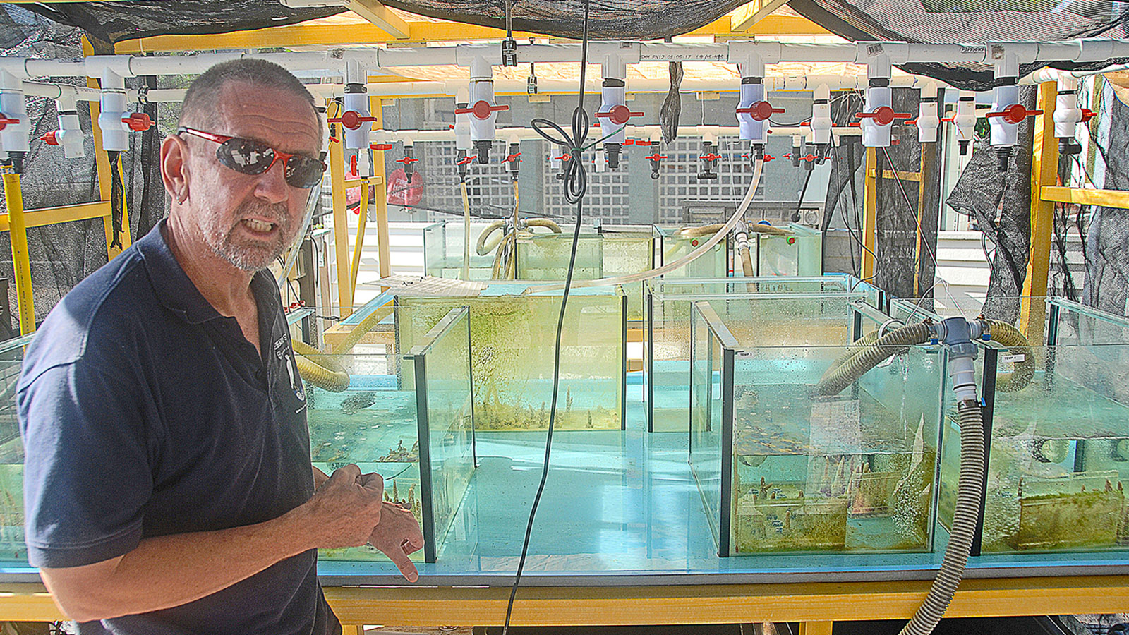 Heron Island, Station Manager Tim Harvey vor Versuchsanlage zum Klimawandel. Foto: Hilke Maunder