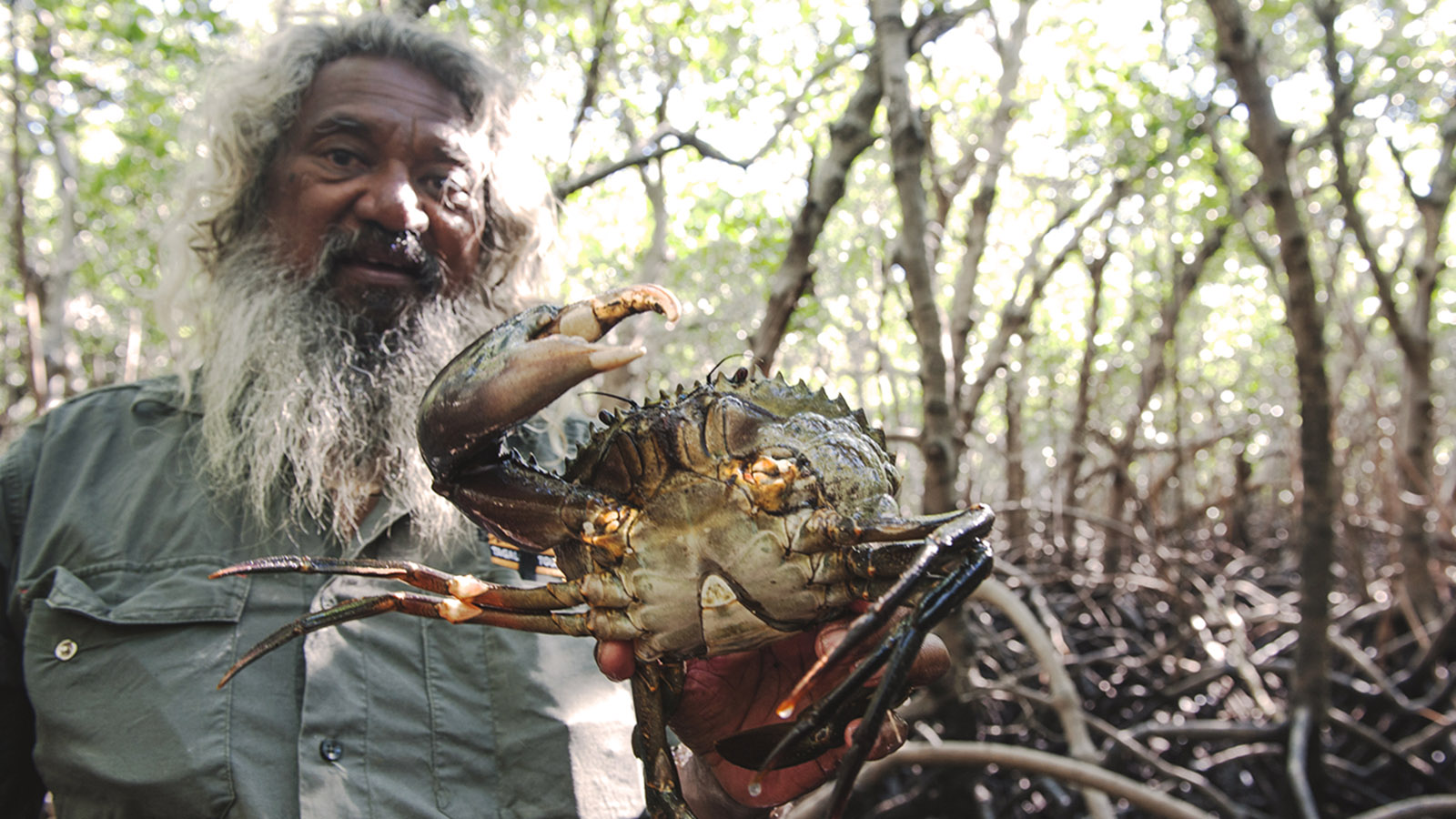 Mudcrabbing & mehr: Brian Lee hat im Morast der Mangroven die erste Schlammkrabbe gefunden. Foto: Hilke Maunder