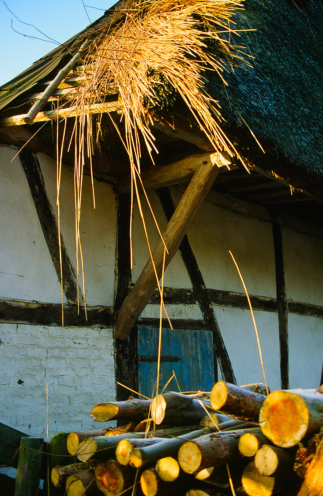 Holz: bäuerlicher Dreiklang am Peenestrom. Foto: Hilke Maunder