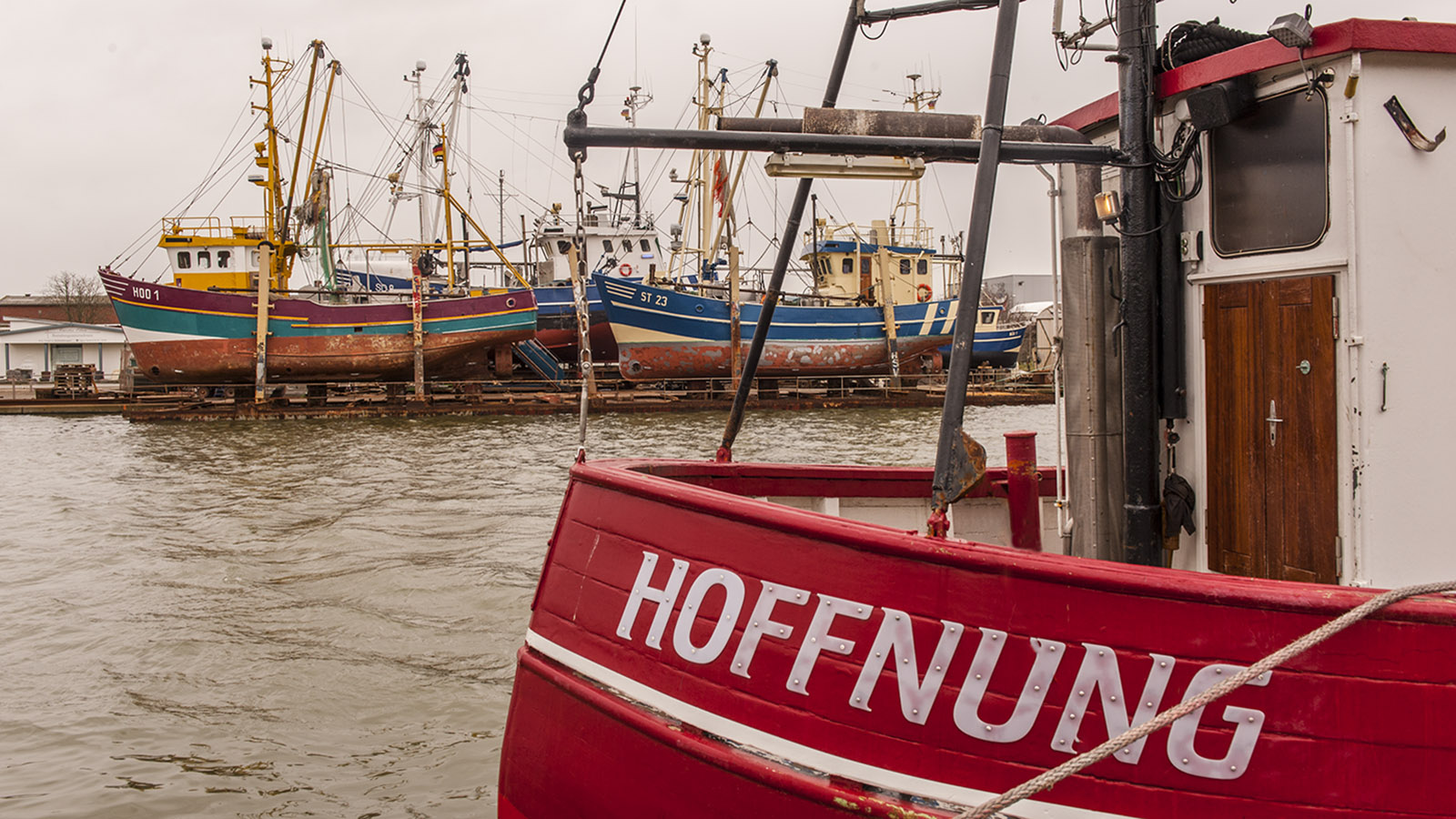 Die Krabbenkutter von Büsum: Hoffnung ist die Maxime. Foto: Hilke Maunder