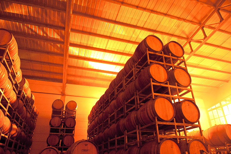 Der Keller des anatolischen Weingutes Kavaklıdere