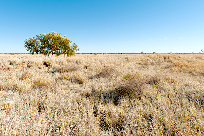 Das Barkly Tableland im Northern Territory
