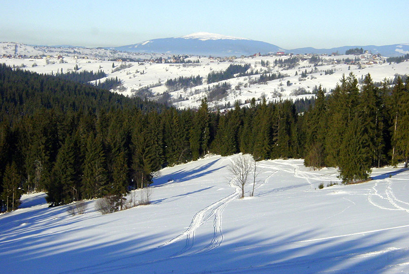 Bukowina Tatrazanska: Etwas außerhalb des Ortes liegt ein zweites Schneefeld mit einfachen Pisten, Schlepplift und herrlichem Blick auf die Hohe Tatra.
