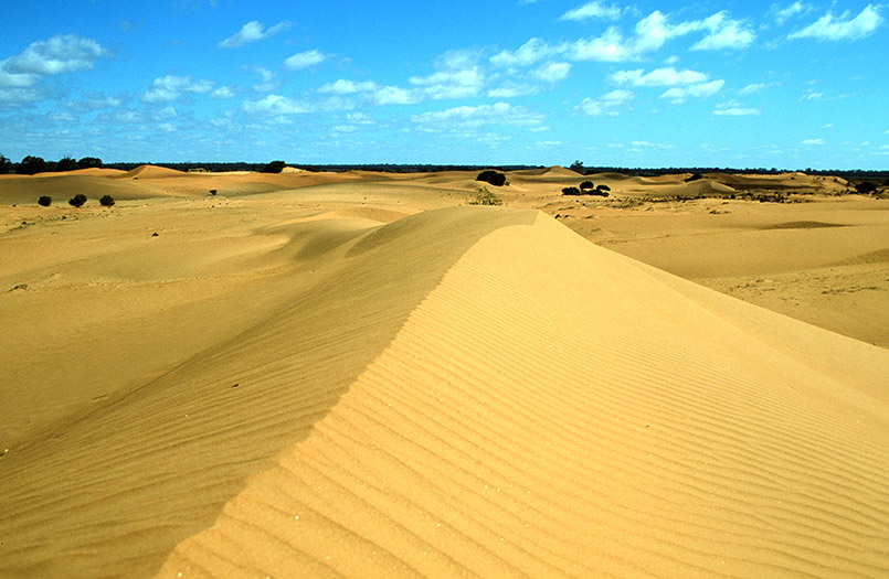 Die Perry-Sanddünen im Murray Outback